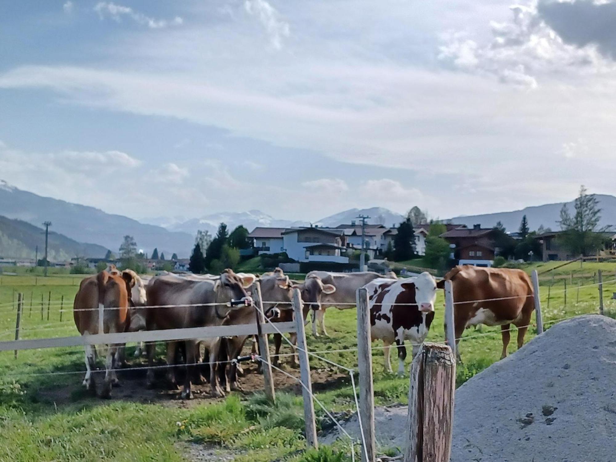 Villa Lampererhof St. Johann in Tirol Exterior foto