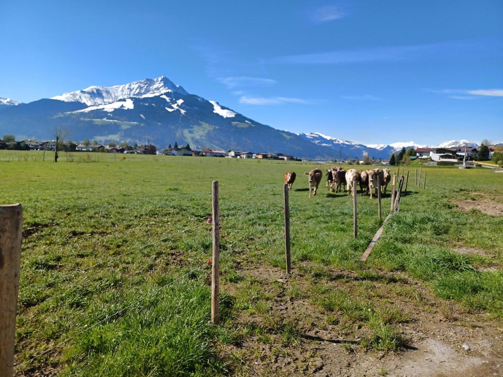 Villa Lampererhof St. Johann in Tirol Exterior foto